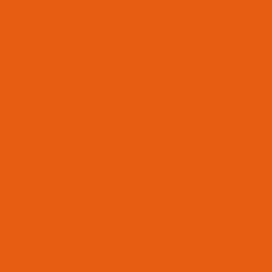 #E75E13 - Trinidad Color Image