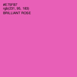 #E75FB7 - Brilliant Rose Color Image