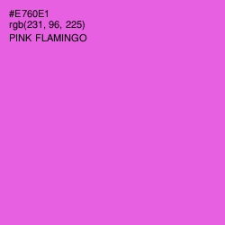 #E760E1 - Pink Flamingo Color Image