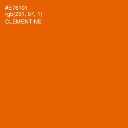 #E76101 - Clementine Color Image