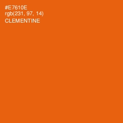 #E7610E - Clementine Color Image