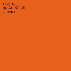 #E7611C - Orange Color Image