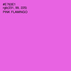 #E763E1 - Pink Flamingo Color Image