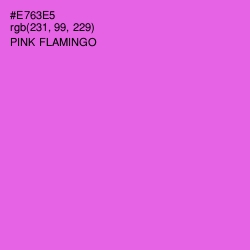 #E763E5 - Pink Flamingo Color Image