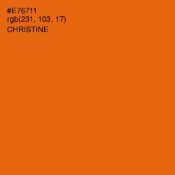 #E76711 - Christine Color Image