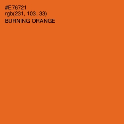 #E76721 - Burning Orange Color Image