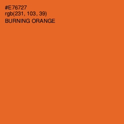 #E76727 - Burning Orange Color Image