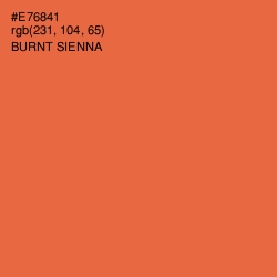 #E76841 - Burnt Sienna Color Image