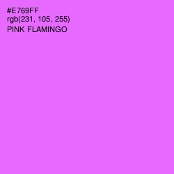 #E769FF - Pink Flamingo Color Image