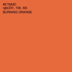 #E76A3C - Burning Orange Color Image
