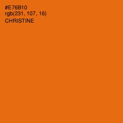#E76B10 - Christine Color Image