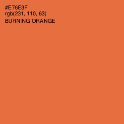 #E76E3F - Burning Orange Color Image