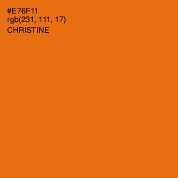 #E76F11 - Christine Color Image