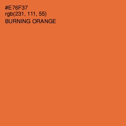 #E76F37 - Burning Orange Color Image