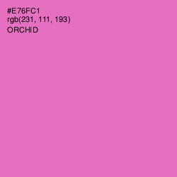 #E76FC1 - Orchid Color Image