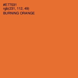 #E77031 - Burning Orange Color Image