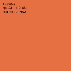 #E77042 - Burnt Sienna Color Image