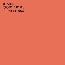 #E77056 - Burnt Sienna Color Image