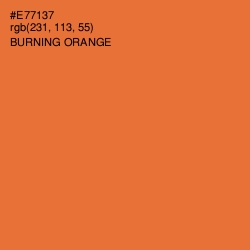 #E77137 - Burning Orange Color Image