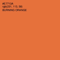 #E7713A - Burning Orange Color Image