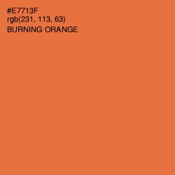 #E7713F - Burning Orange Color Image
