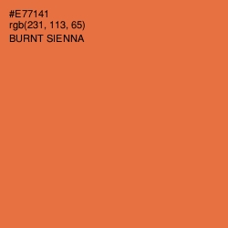 #E77141 - Burnt Sienna Color Image