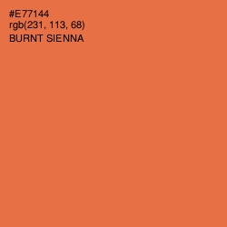 #E77144 - Burnt Sienna Color Image