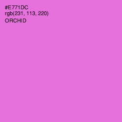 #E771DC - Orchid Color Image