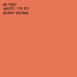 #E77657 - Burnt Sienna Color Image