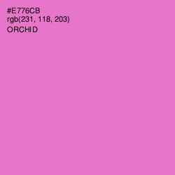 #E776CB - Orchid Color Image