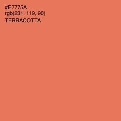 #E7775A - Terracotta Color Image