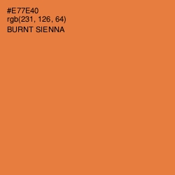 #E77E40 - Burnt Sienna Color Image