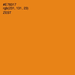 #E78317 - Zest Color Image