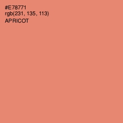 #E78771 - Apricot Color Image