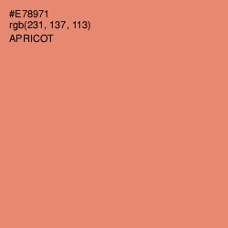 #E78971 - Apricot Color Image