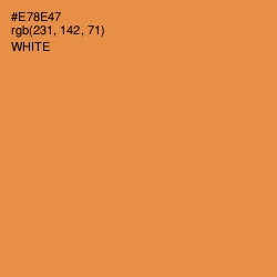 #E78E47 - Tan Hide Color Image