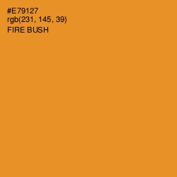 #E79127 - Fire Bush Color Image