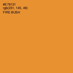 #E79131 - Fire Bush Color Image