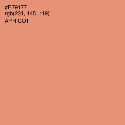 #E79177 - Apricot Color Image