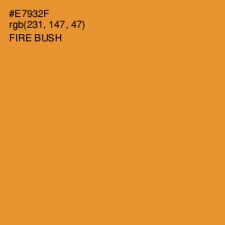 #E7932F - Fire Bush Color Image