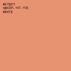 #E79371 - Apricot Color Image