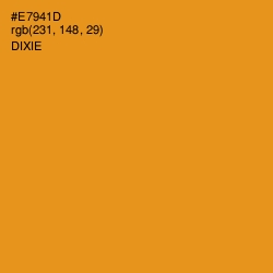 #E7941D - Dixie Color Image