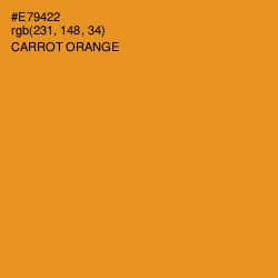 #E79422 - Carrot Orange Color Image