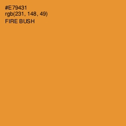 #E79431 - Fire Bush Color Image