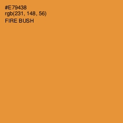 #E79438 - Fire Bush Color Image