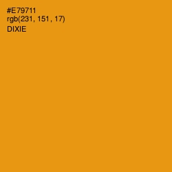 #E79711 - Dixie Color Image