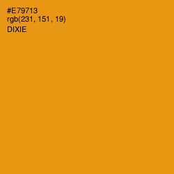 #E79713 - Dixie Color Image