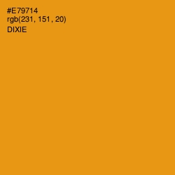 #E79714 - Dixie Color Image