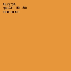 #E7973A - Fire Bush Color Image