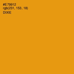 #E79912 - Dixie Color Image